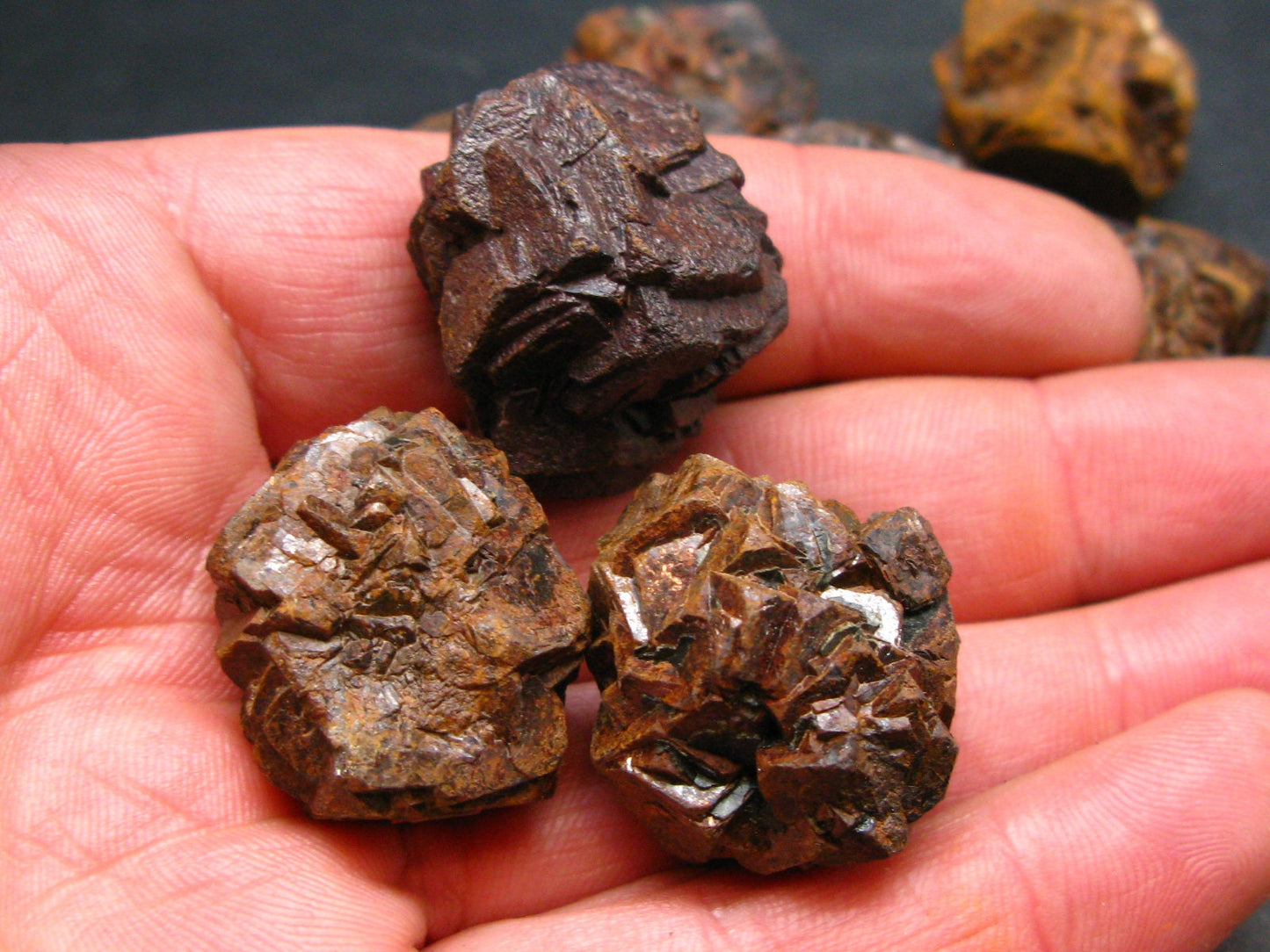 Lot of 10 Rare Prophecy Stones Limonite after Pyrite From Egypt - 300 Grams