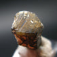 Stibio Tantalite Crystal From Brazil - 0.4" - 9.85 Carats