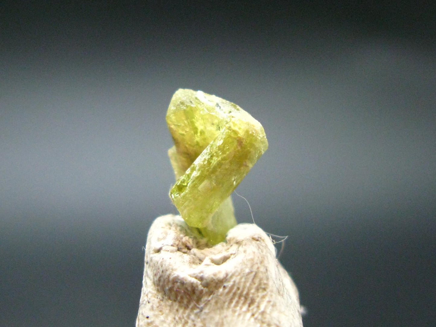 Chrysoberyl Crystal From Madagascar - 2.65 Carats