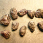 Lot of 10 Rare Alexandrite Chrysoberyl Crystals From Brazil - 64.45 Carats