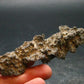Large Fulgurite Lightning Rock From Sahara Desert - 4.2" - 10.65 Grams