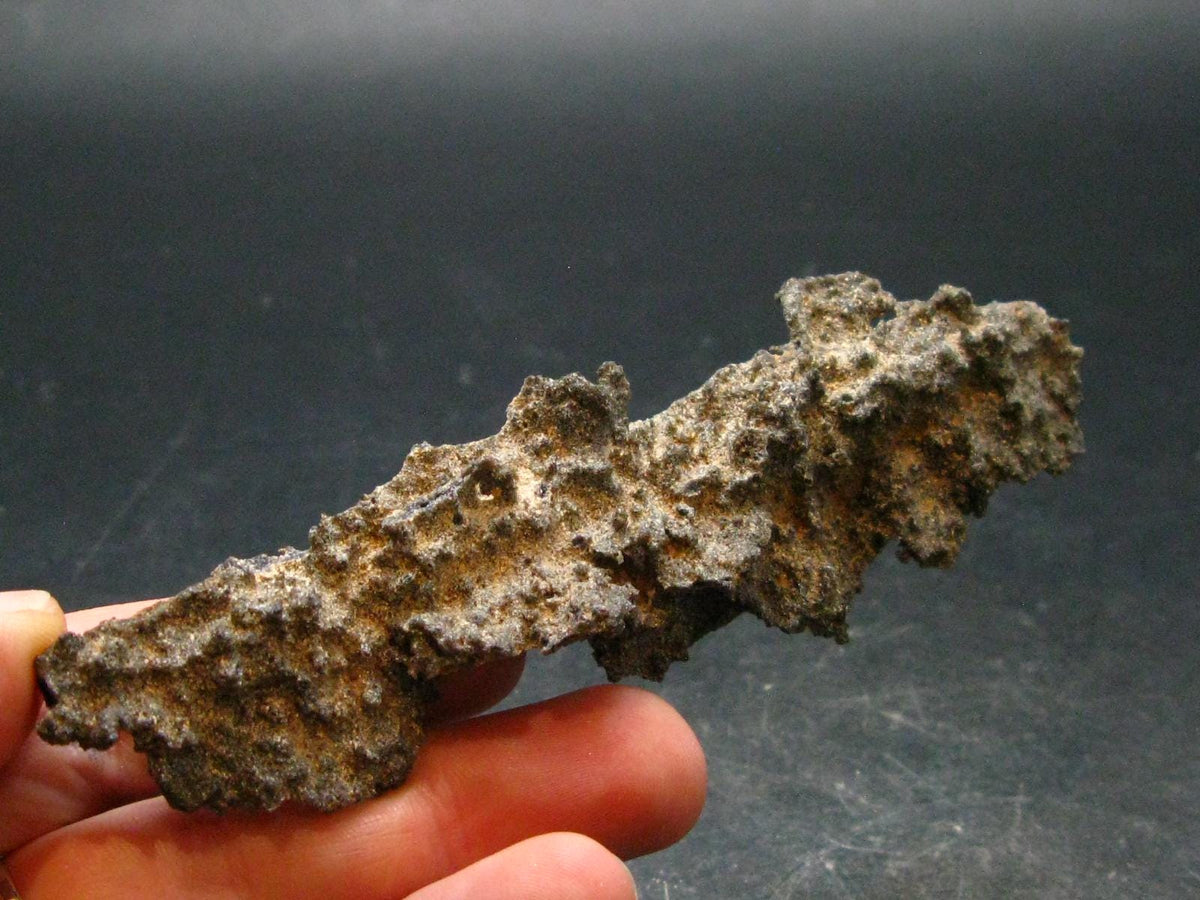 Large Fulgurite Lightning Rock From Sahara Desert - 4.2" - 10.65 Grams