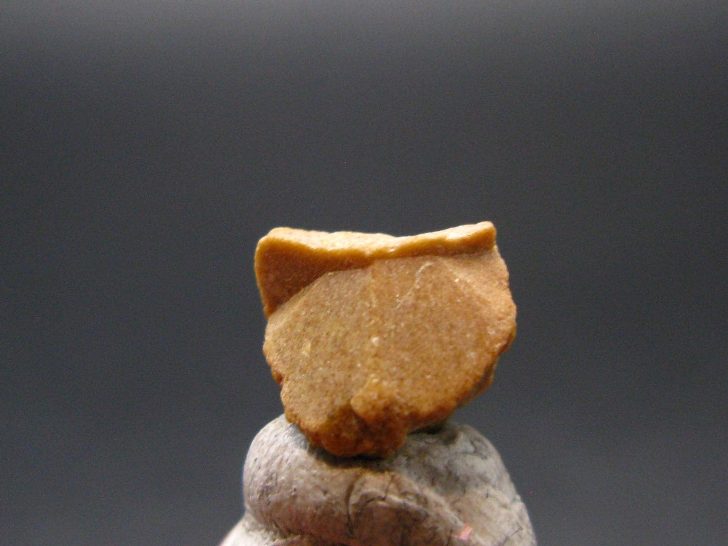 Rare Monazite Crystal From Brazil - 0.3" - 1.18 Grams