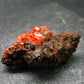 Rare Orange Crocoite Cluster From Australia - 1.4"- 11.53 Grams