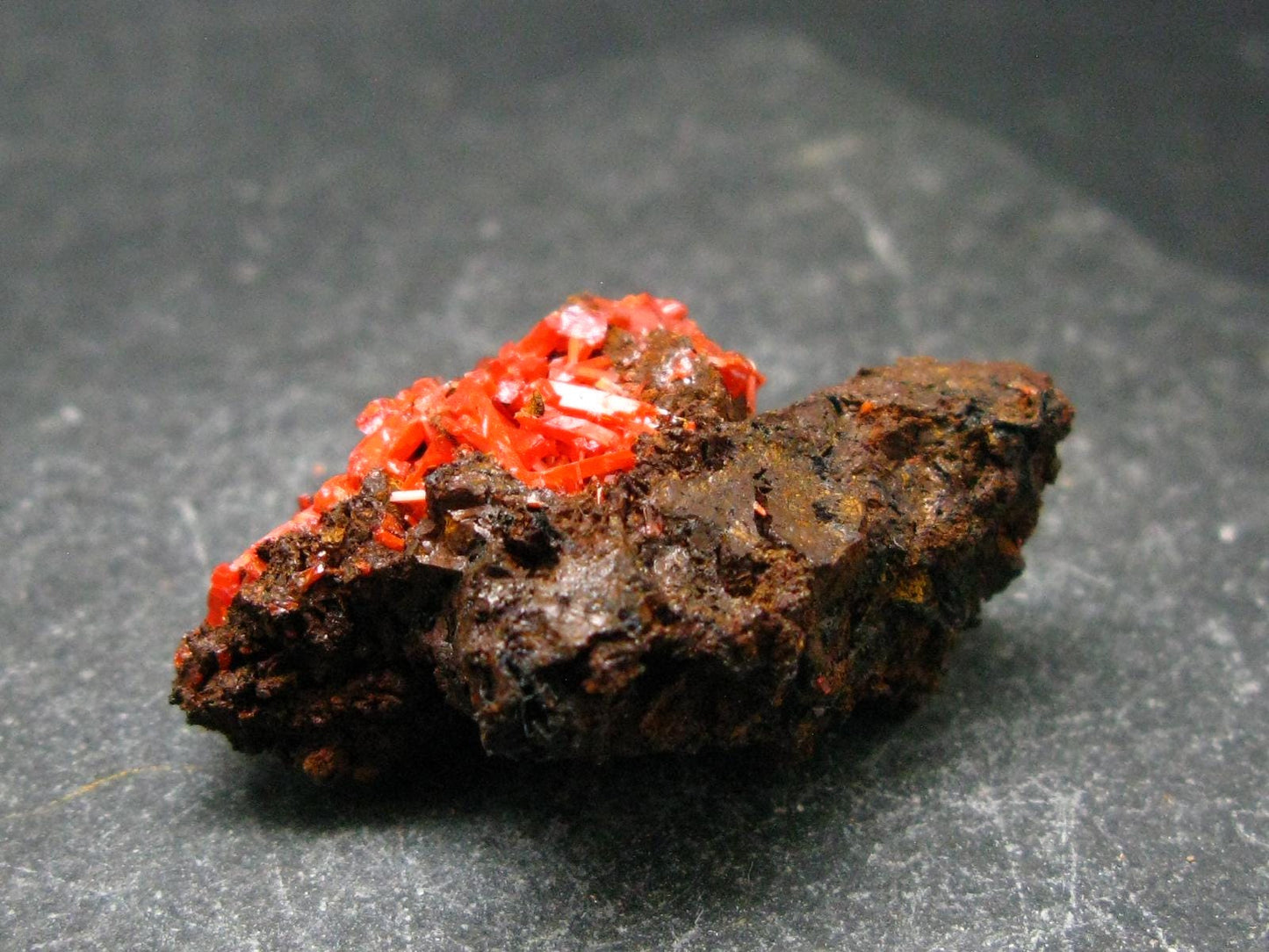 Rare Orange Crocoite Cluster From Australia - 1.4"- 11.53 Grams