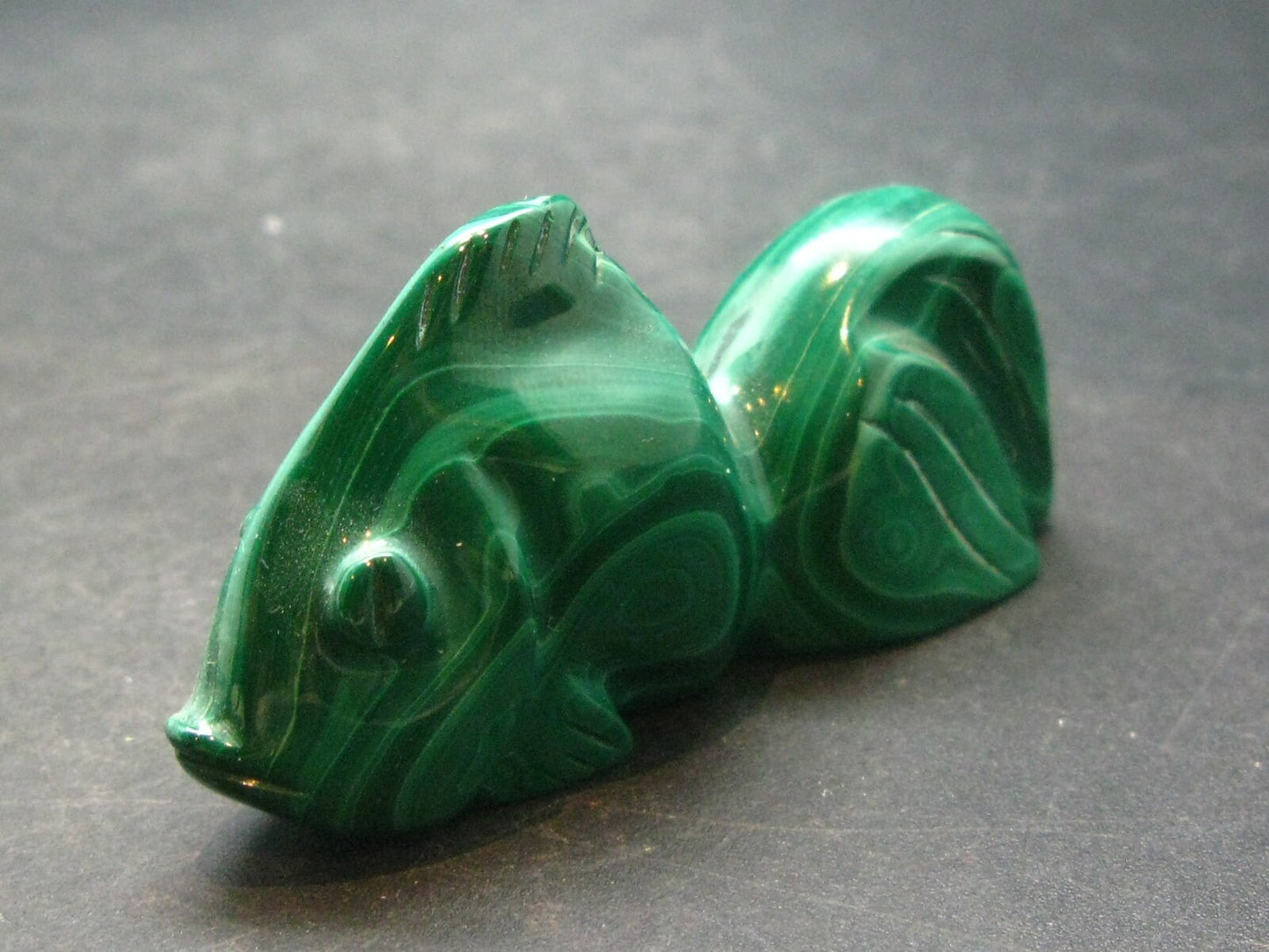 Rich Vivid Vibrant Green Malachite Fish From Congo - 2.6"