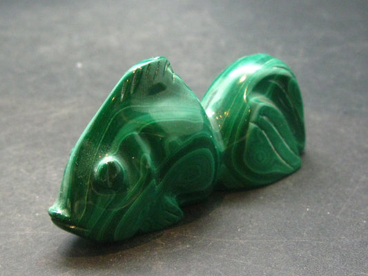 Rich Vivid Vibrant Green Malachite Fish From Congo - 2.6"