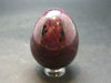 Ruby & Kyanite Egg From India - 1.6" - 102.61 Grams