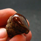 Fire Agate Crystal From Mexico - 0.9" - 7.50 Grams