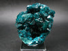 Stunning Dioptase cluster from Congo - 3.2"