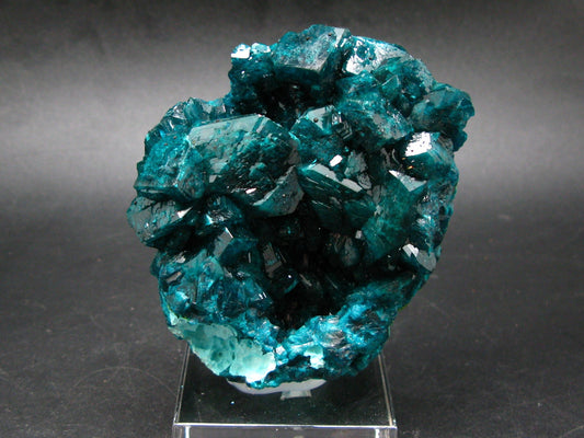 Stunning Dioptase cluster from Congo - 3.2"