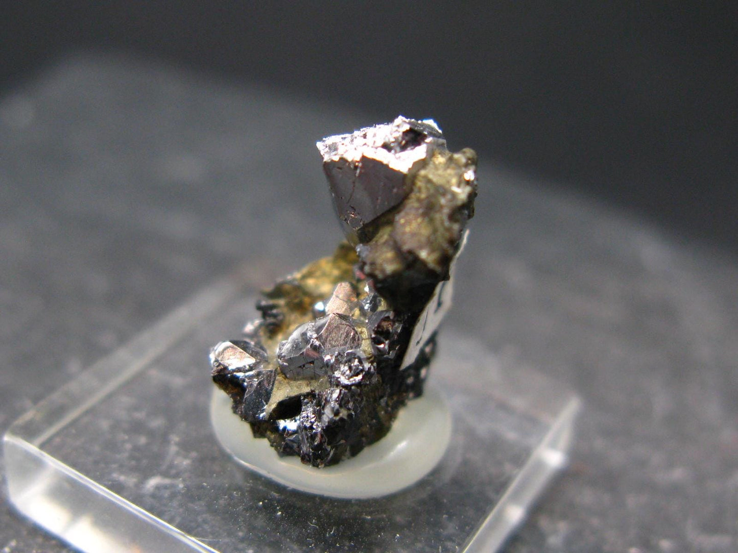 Sperrylite Crystal On Matrix From Russia - 1.3" - Huge 8mm Crystal