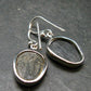 Trilobite Silver Earrings from USA - 1.3" - 3.76 Grams