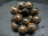 Copal Genuine Bracelet ~ 7 Inches ~ 14mm Round Beads