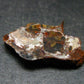 Large Sericho Meteorite Pallasite Olivine Slice From Kenya - 0.8" - 1.66 Grams