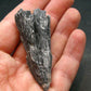 Large Rare Black Kyanite Crystal From Brazil - 2.2" - 12.86 Grams