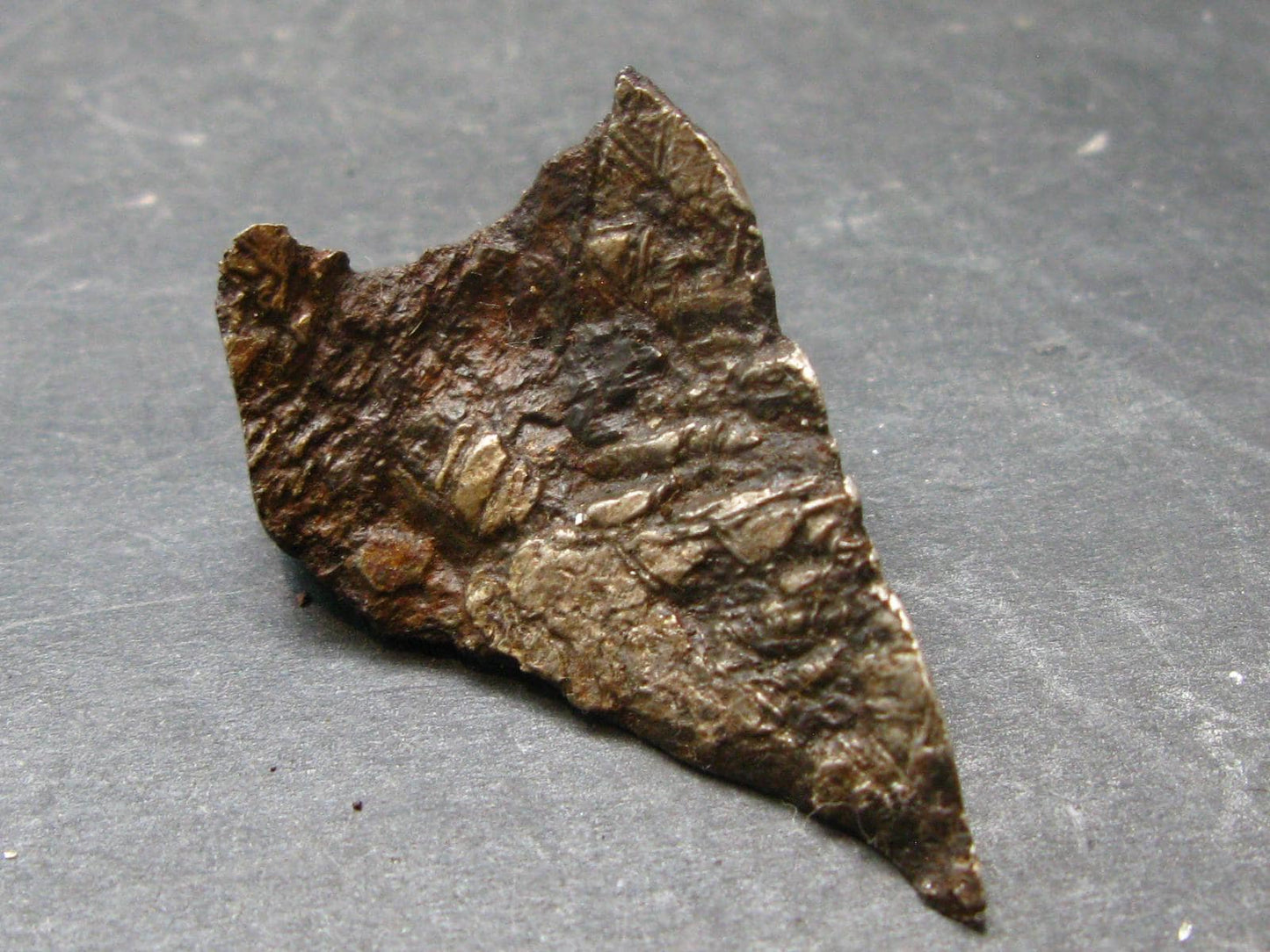 Large Gibeon Meteorite From Namibia - 1.2" - 22.4 Grams