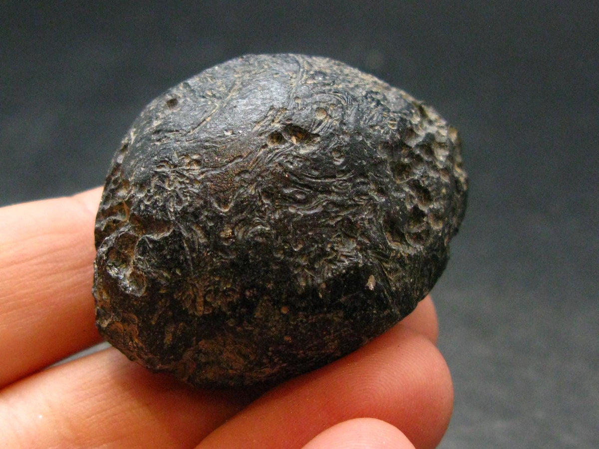 Rare Large Black Tibetan Tektite Raw Piece from Tibet - 1.6" - 33.31 Grams