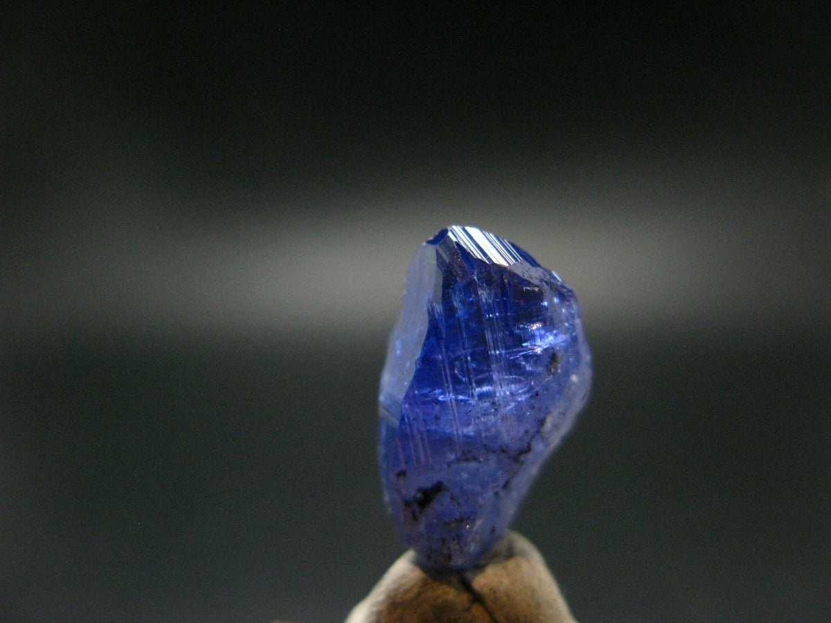 Fine Gem Tanzanite Zoisite Crystal From Tanzania - 11.20 Carats - 0.7"