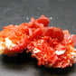 Vanadinite Crystal From Morocco - 1.5" - 23.65 Grams