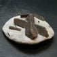 A Perfect Staurolite Crystal from Russia - 2.8" - 126.69 Grams