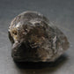 Nice Tibetan Black Quartz Crystal from Tibet - 1.4" - 27.88 Grams