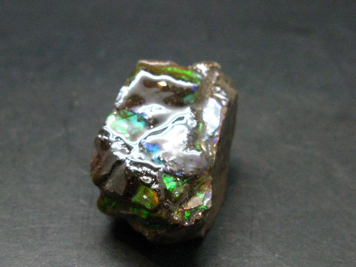 Ammolite Ammollite Fossil From Alberta Canada - 1.1" - 16.24 Grams