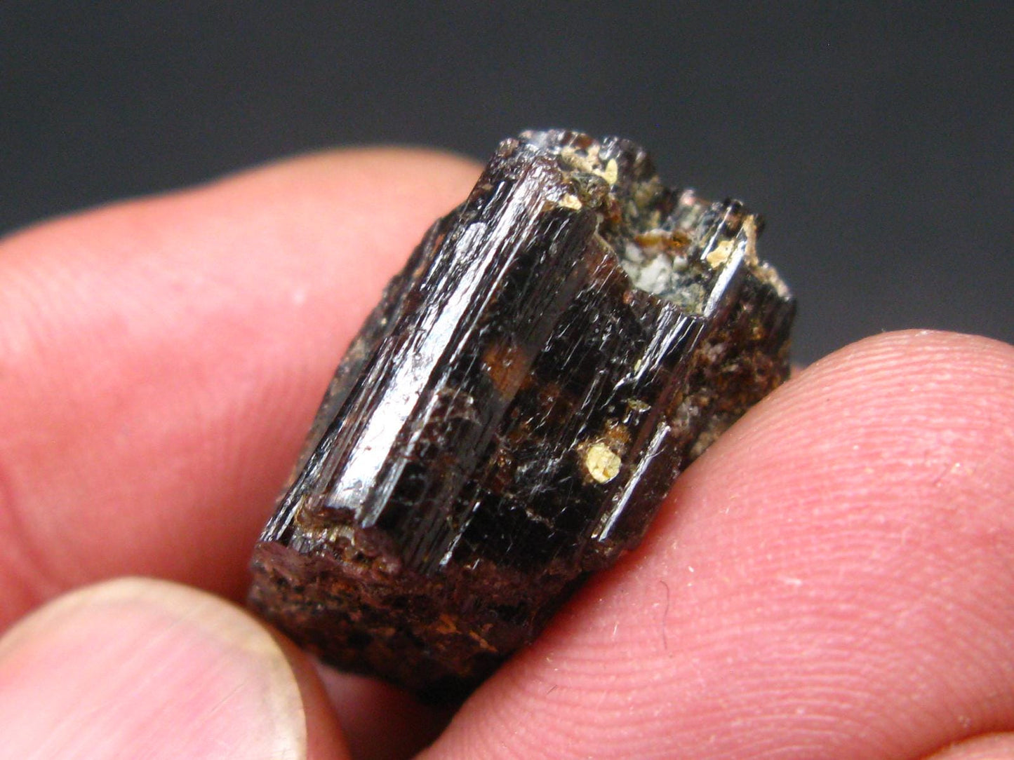 Rare Painite Crystal From Myanmar - 40.87 Carats