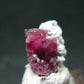Rare Gem Bixbite Red Emerald Beryl Cluster From Utah USA - 1.3" - 0.88 Grams