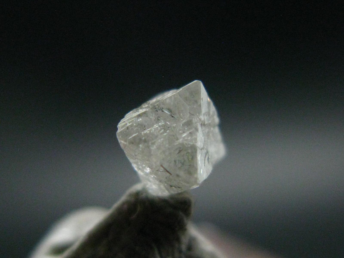 Gem Genuine Diamond Crystal From Congo - 0.59 Carats