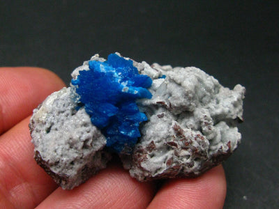 Cavansite on Stilbite Cluster From India - 1.9" - 28.77 Grams