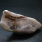 Tumbled Opal Tiffany Stone from USA - 2.8" - 48.82 Grams