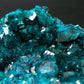 Stunning Dioptase cluster from Congo - 3.5"