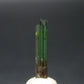 Rare Watermelon Tourmaline Crystal From Brazil - 0.6"