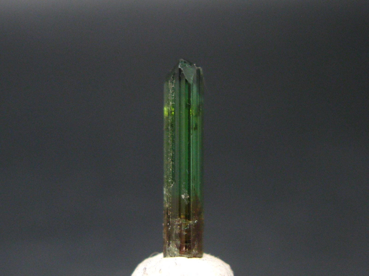Rare Watermelon Tourmaline Crystal From Brazil - 0.6"