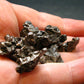 Lot Of 10 Campo Del Cielo Meteorite Pieces from Argentina - 36.74 Grams