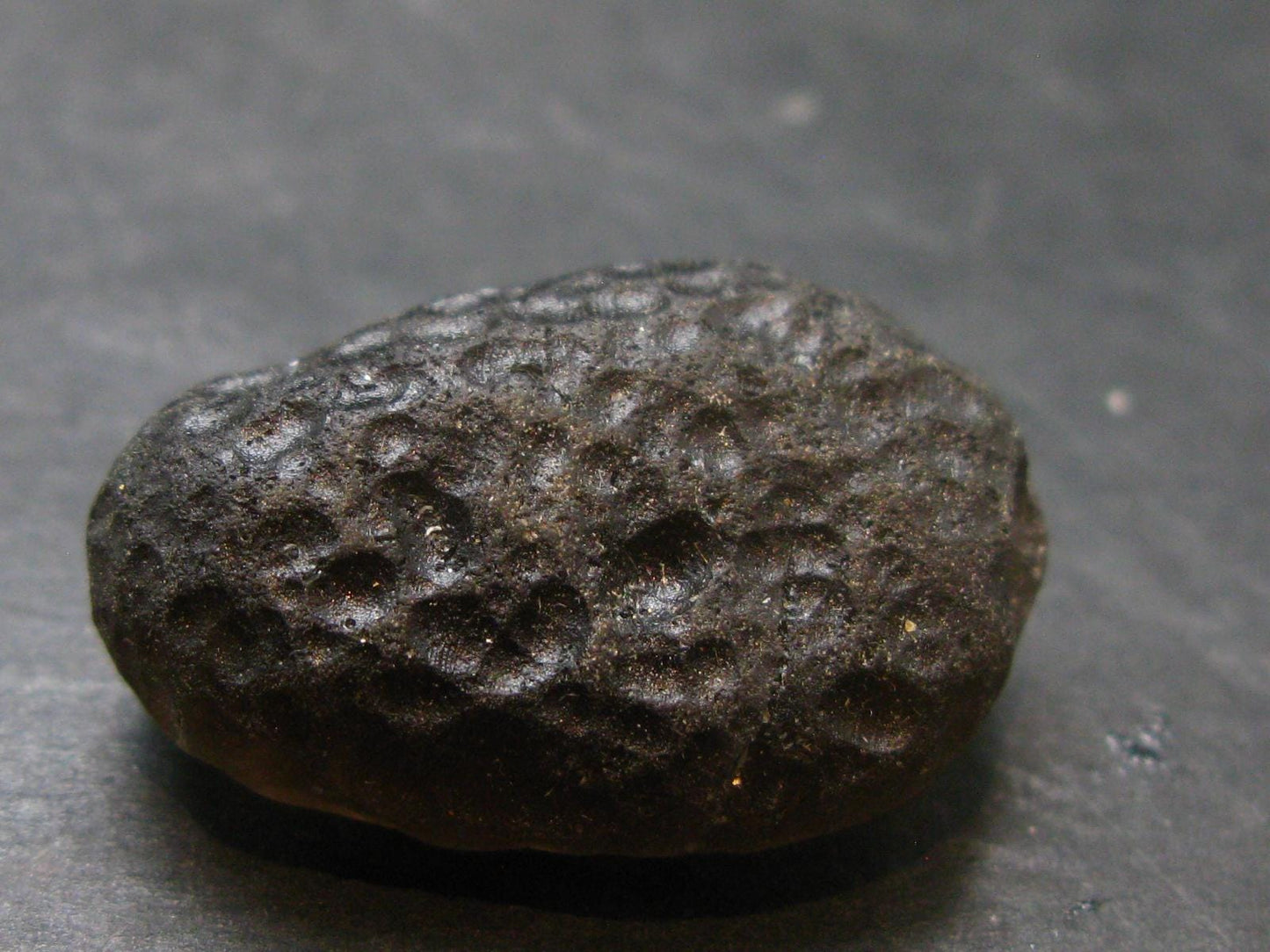 Colombianite Pseudotektite from Colombia - 9.41 Grams - 1.1"