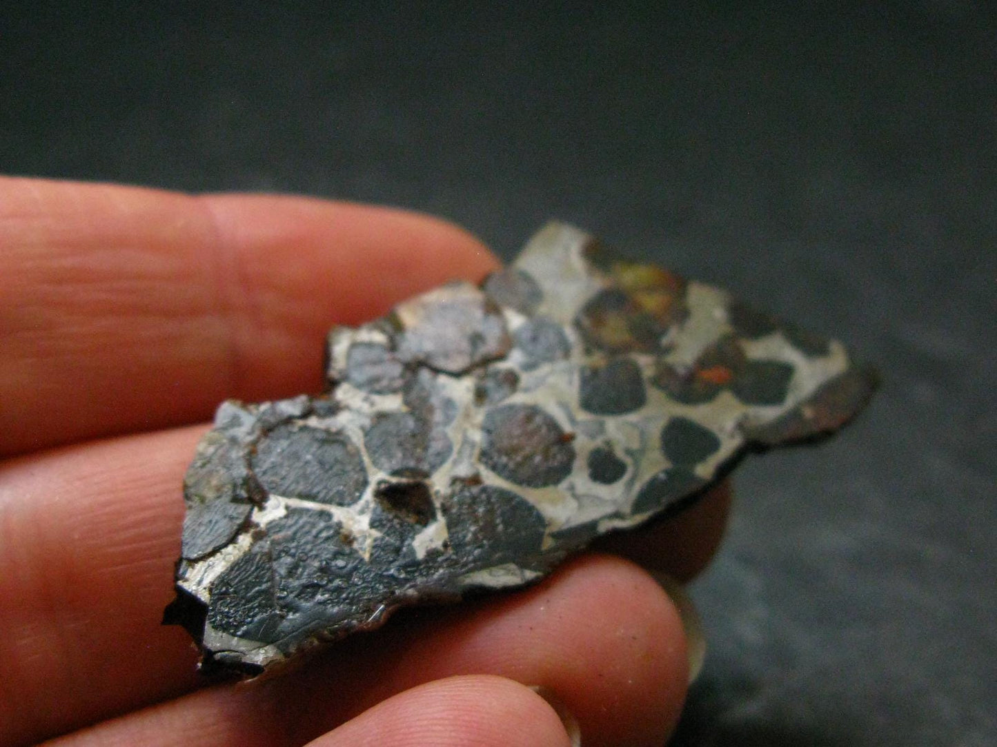 Large Sericho Meteorite Pallasite Olivine Slice From Kenya - 1.8" - 7.0 Grams