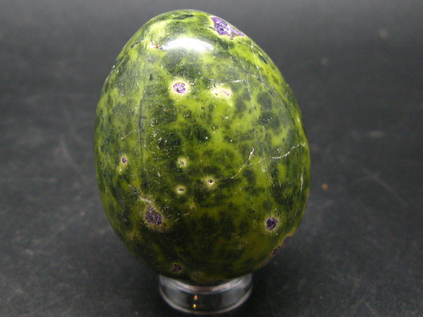 Rare Atlantasite Stichtite + Serpentine Egg from Australia - 1.7"