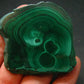 Malachite Stalactite Slice From Congo - 1.9" - 46.46 Grams