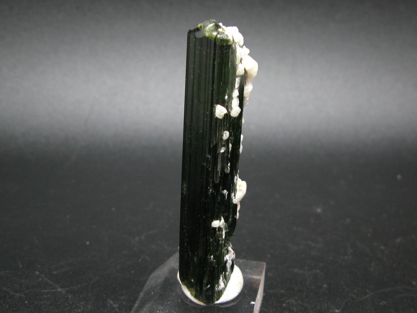 Green Tourmaline Crystal From Brazil - 2.7" - 129 Carats