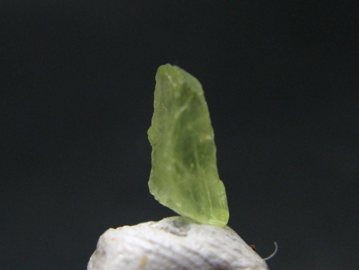 Pargasite Gem Crystal from Burma - 1.96 Carats
