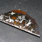 Large Brahin Meteorite Pallasite Olivine Slice From Belarus - 2.3" - 11.00 Grams