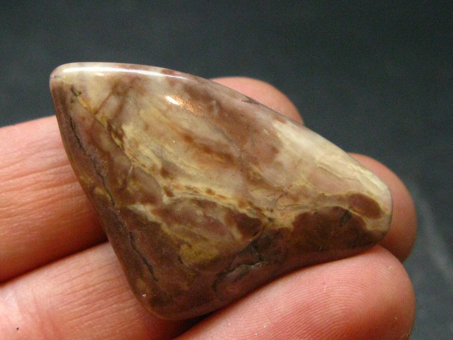 Rare Bustamite Tumbled Stone from South Africa - 1.4" - 14.46 Grams