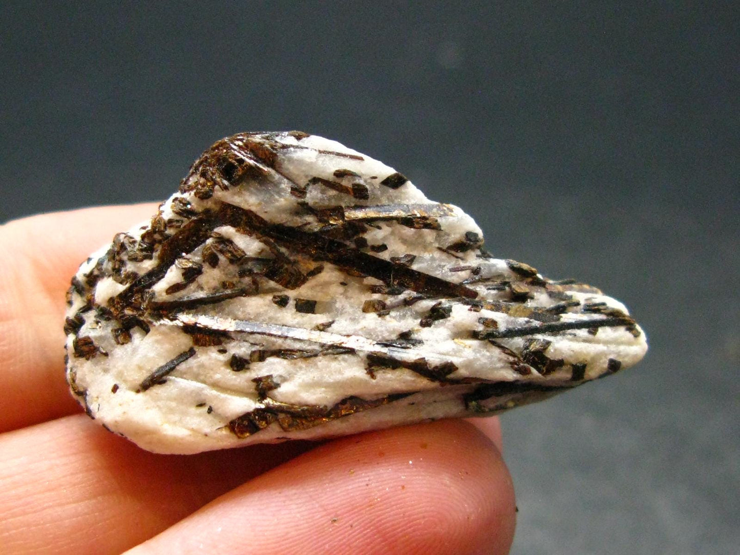 Astrophylite Astrophyllite Cluster From Russia - 1.5" - 11.55 Grams