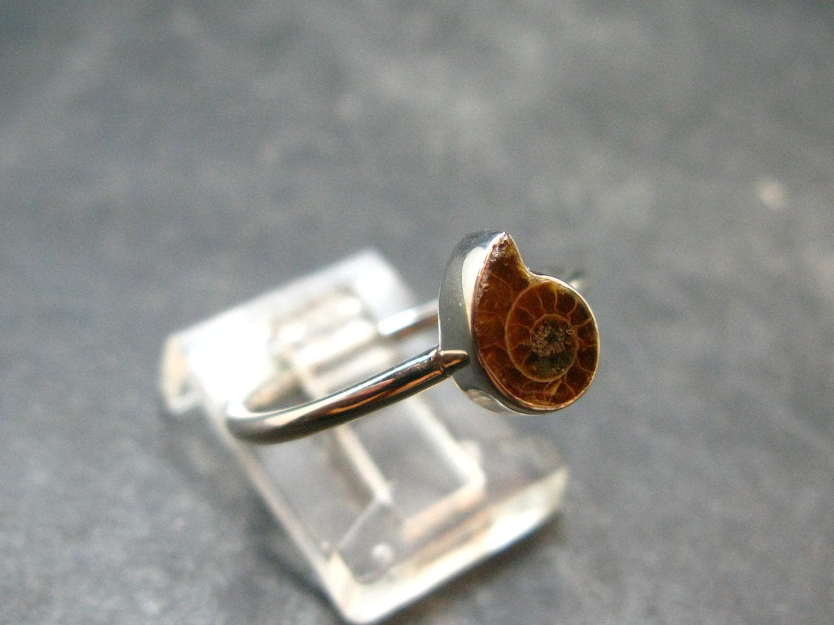 Natural Whole Polished Agatized Ammonite Cleoniceras Sterling Silver Ring from Madagascar - 1.97 Grams - Size 9