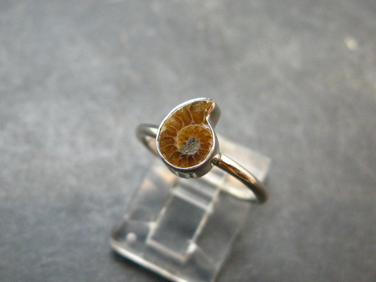 Natural Whole Polished Agatized Ammonite Cleoniceras Sterling Silver Ring from Madagascar - 1.81 Grams - Size 6