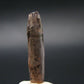 Andalusite Gem Crystal From Brazil - 1.0" - 1.05 Grams