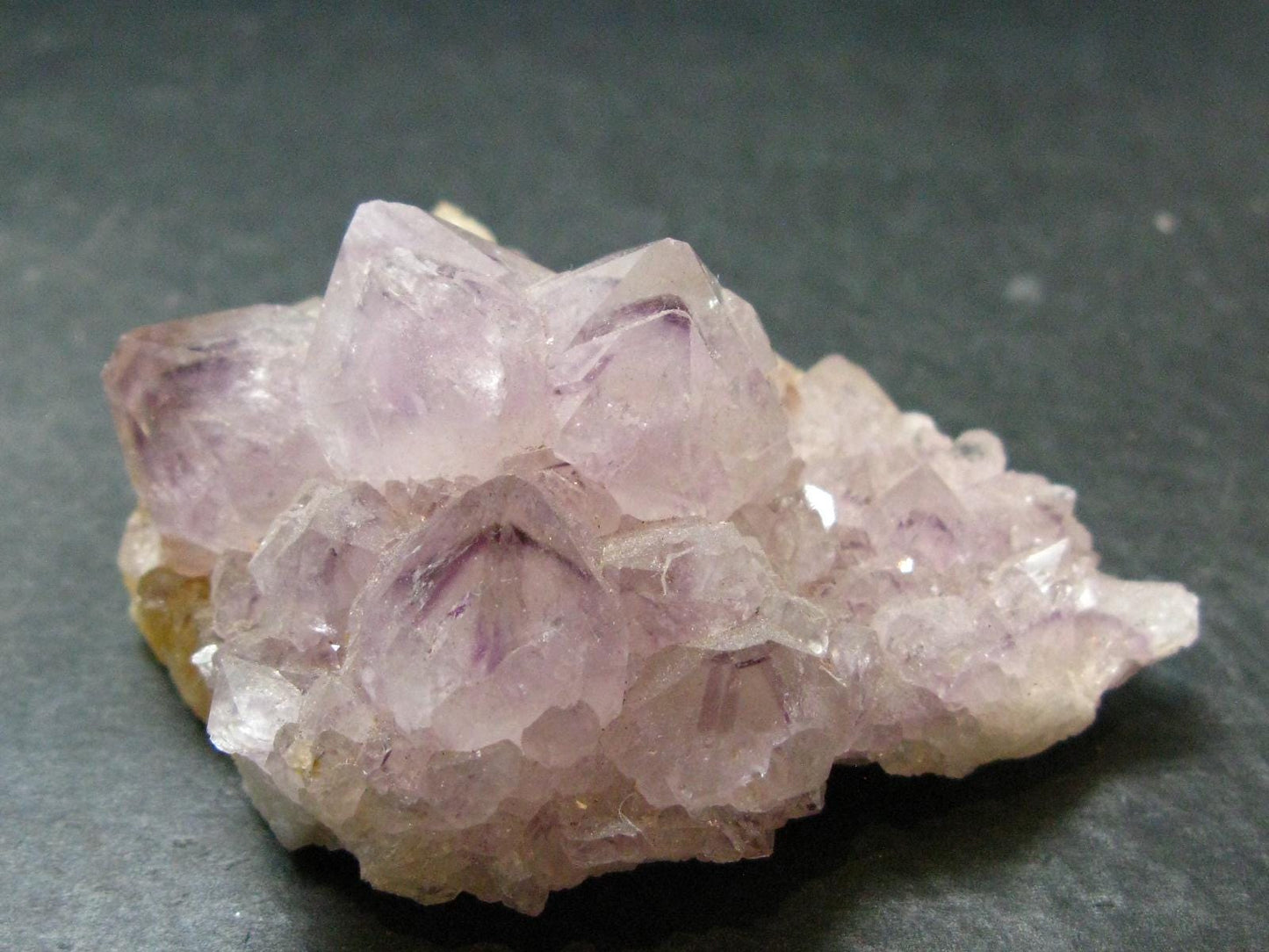Fine Cactus Amethyst Spirit Quartz Crystal From South Africa - 2.6" - 94.49 Grams