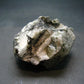 Phenakite Phenacite Crystal From Brazil - 81.82 Grams - 2.1"